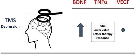 Alter cerebral blood flow and metabolism