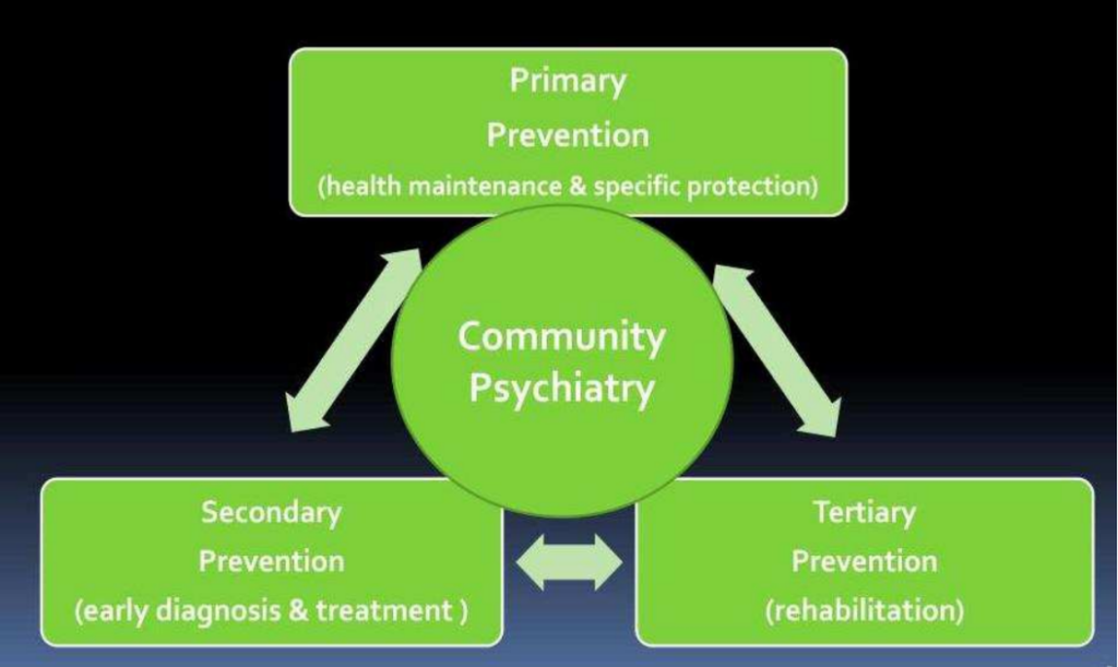 Textbook Of Community Psychiatry Pdf Psychiatry Mental Disorder